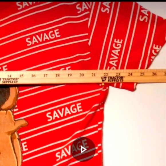 SAVAGE Bear Graphic Grunge Skater Tee Red & White Stripe Crackled Lines Urban - Picture 8 of 9